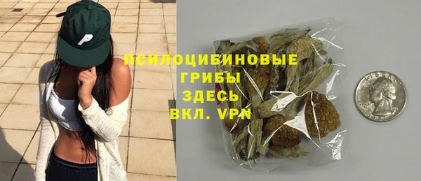 стаф Абинск