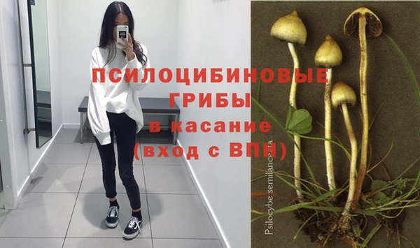 сатива Абдулино