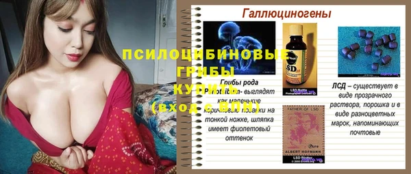 стаф Абинск