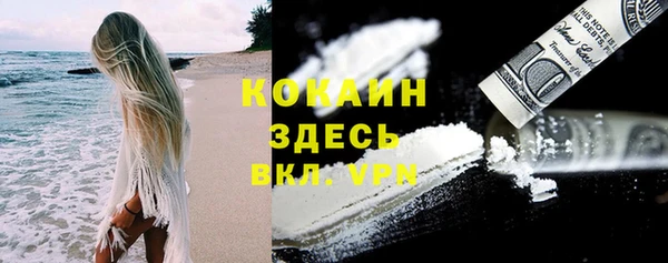 стаф Абинск