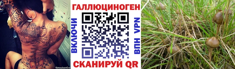 Галлюциногенные грибы мицелий  где продают   Собинка 